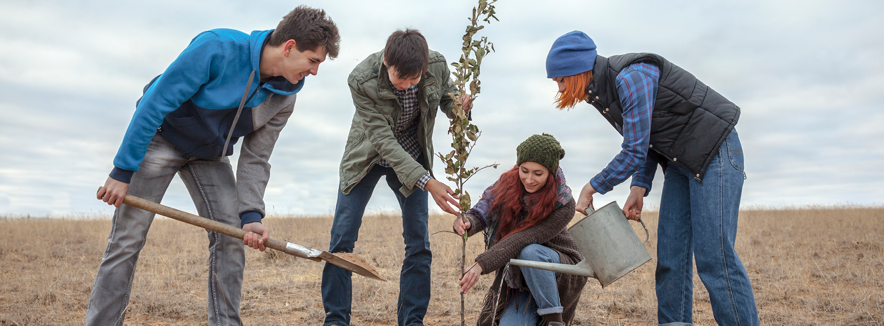 Vier junge Menschen pflanzen einen Baum auf einem sonst trockenen Feld. 